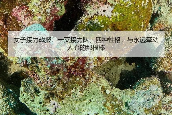女子接力战报：一支接力队、四种性格，与永远牵动人心的那根棒